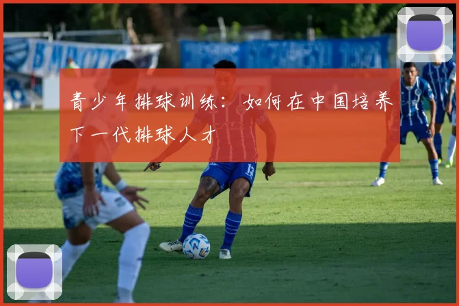 青少年排球训练：如何在中国培养下一代排球人才