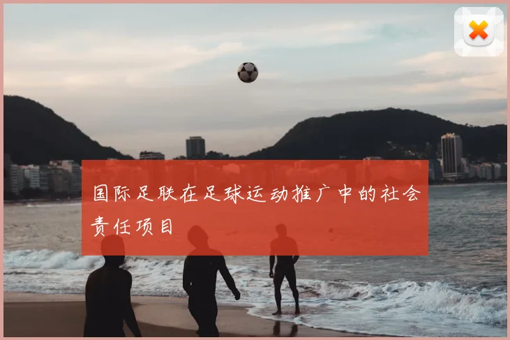 国际足联在足球运动推广中的社会责任项目