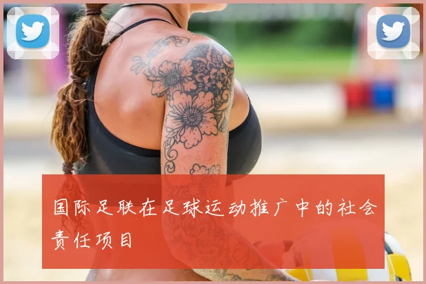 国际足联在足球运动推广中的社会责任项目