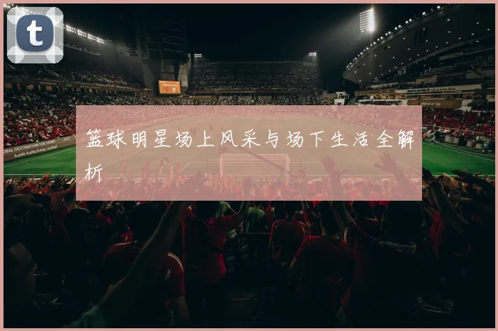 篮球明星场上风采与场下生活全解析